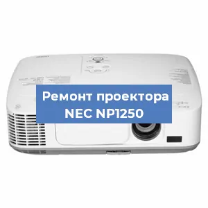 Замена поляризатора на проекторе NEC NP1250 в Ижевске